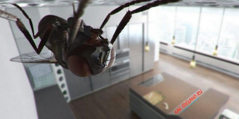 Jak se zbavit malých prostředků v kuchyni a zabránit jejich opětovnému vzhledu